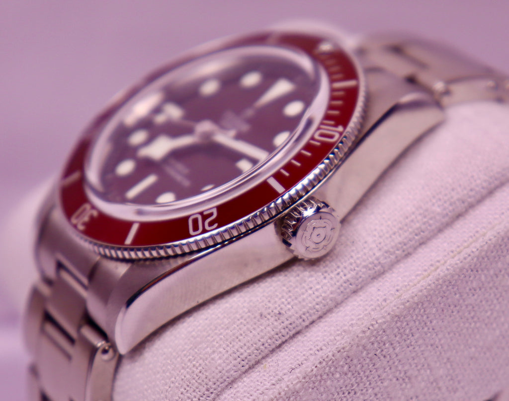 Case #721 — Tudor Black Bay 58 Red Ref. m7939a1a0ru-0002