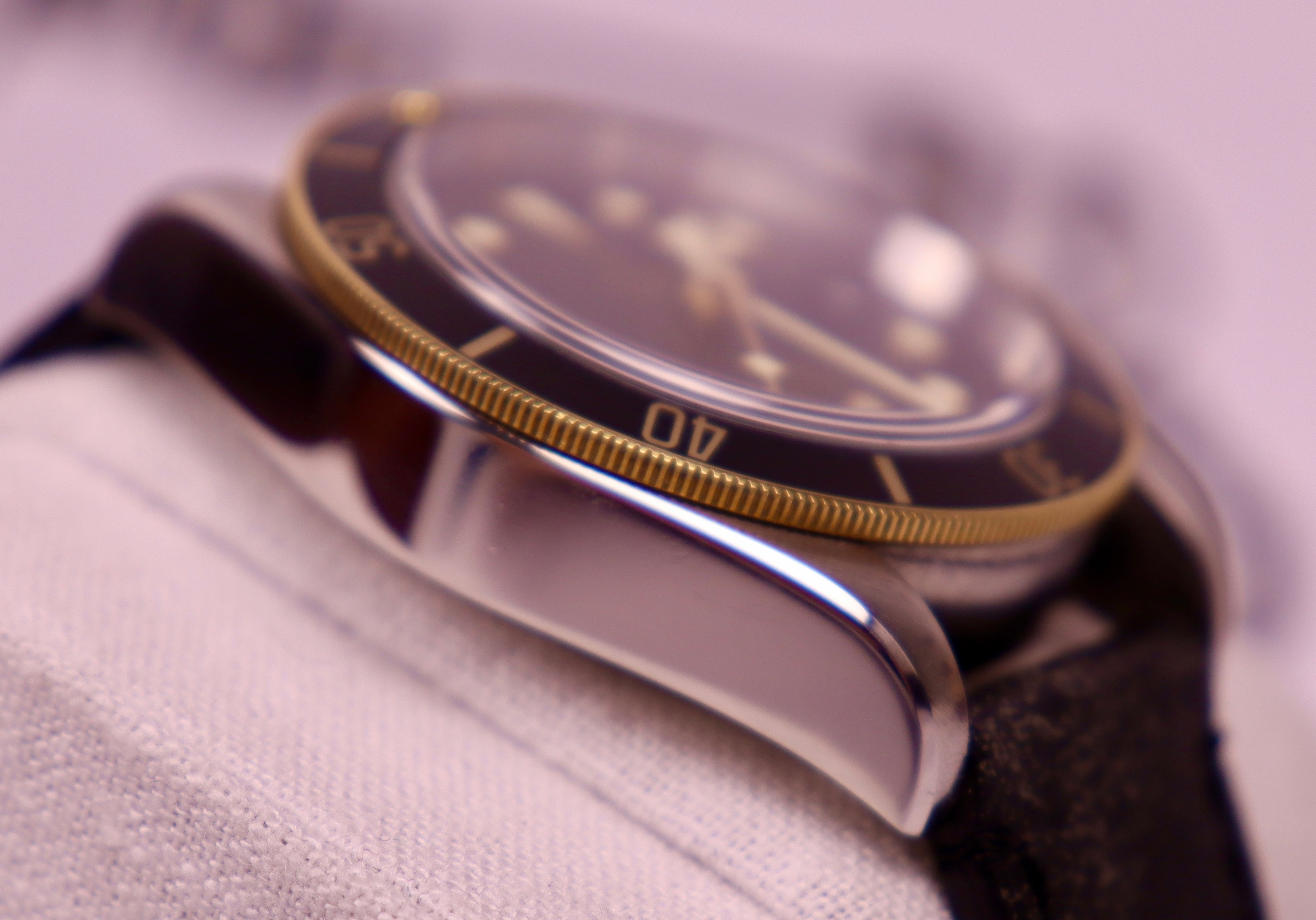 Case #376 — Tudor Black Bay S&G Ref. 79733N