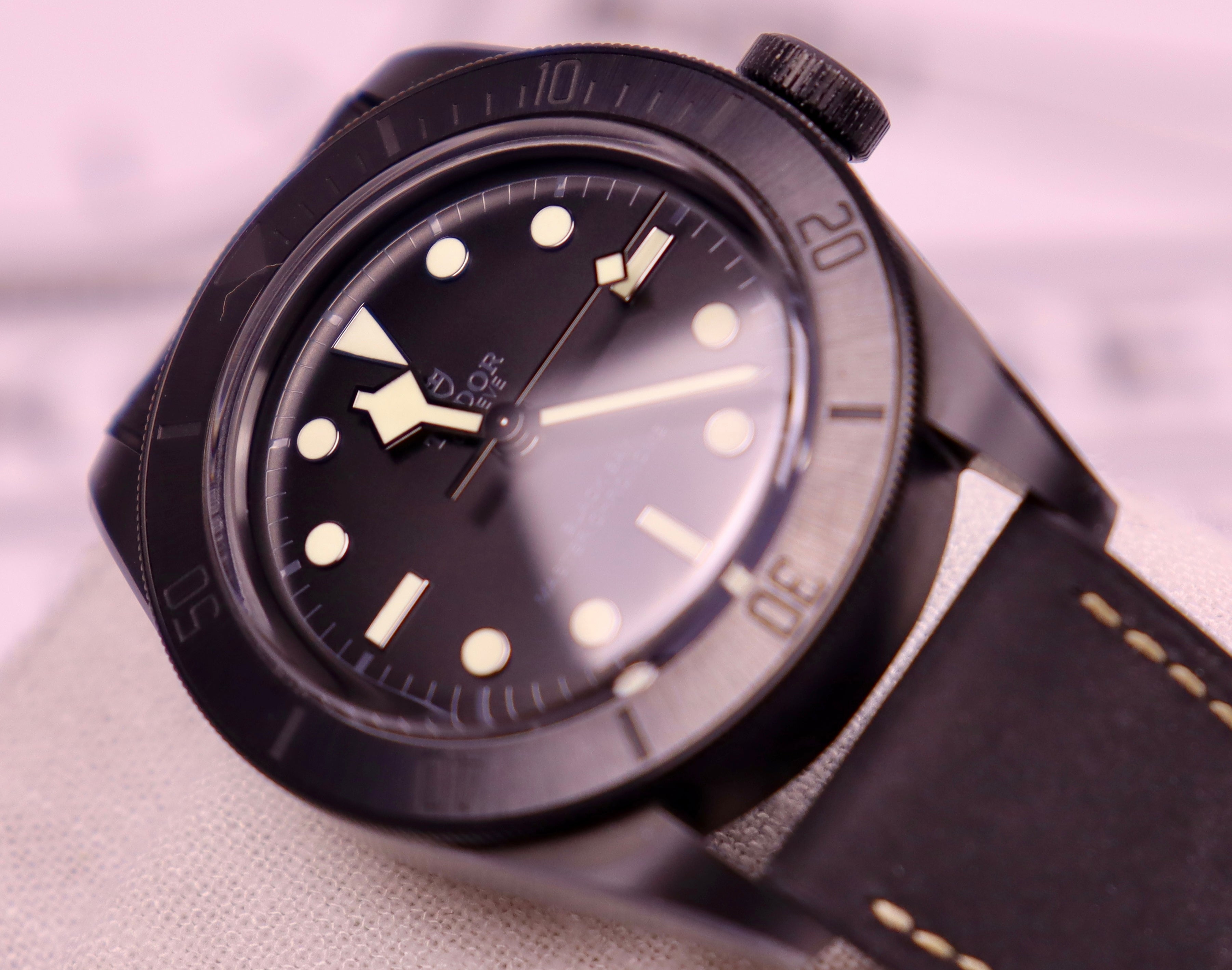 Case #96: Tudor Black Bay Ceramic - 
Reference M79210CNU-0001