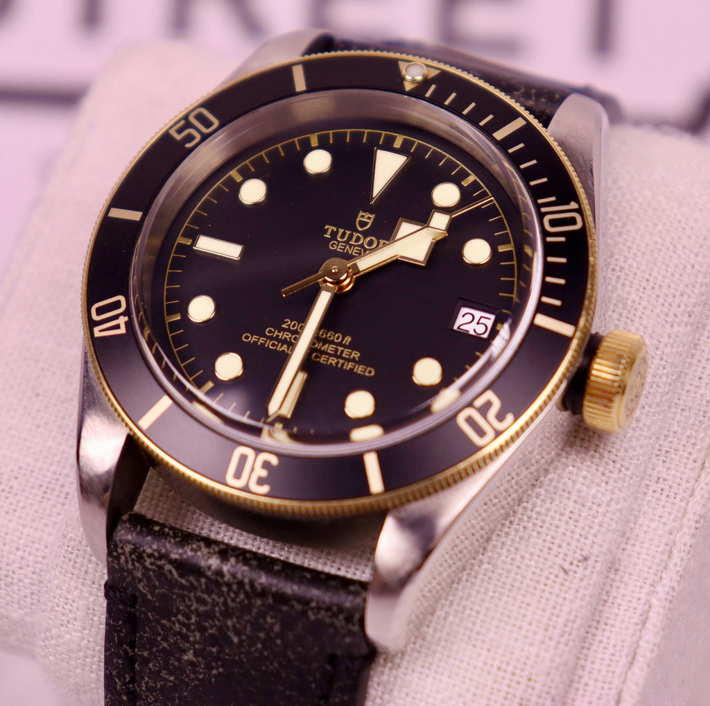 Case #376 — Tudor Black Bay S&G Ref. 79733N