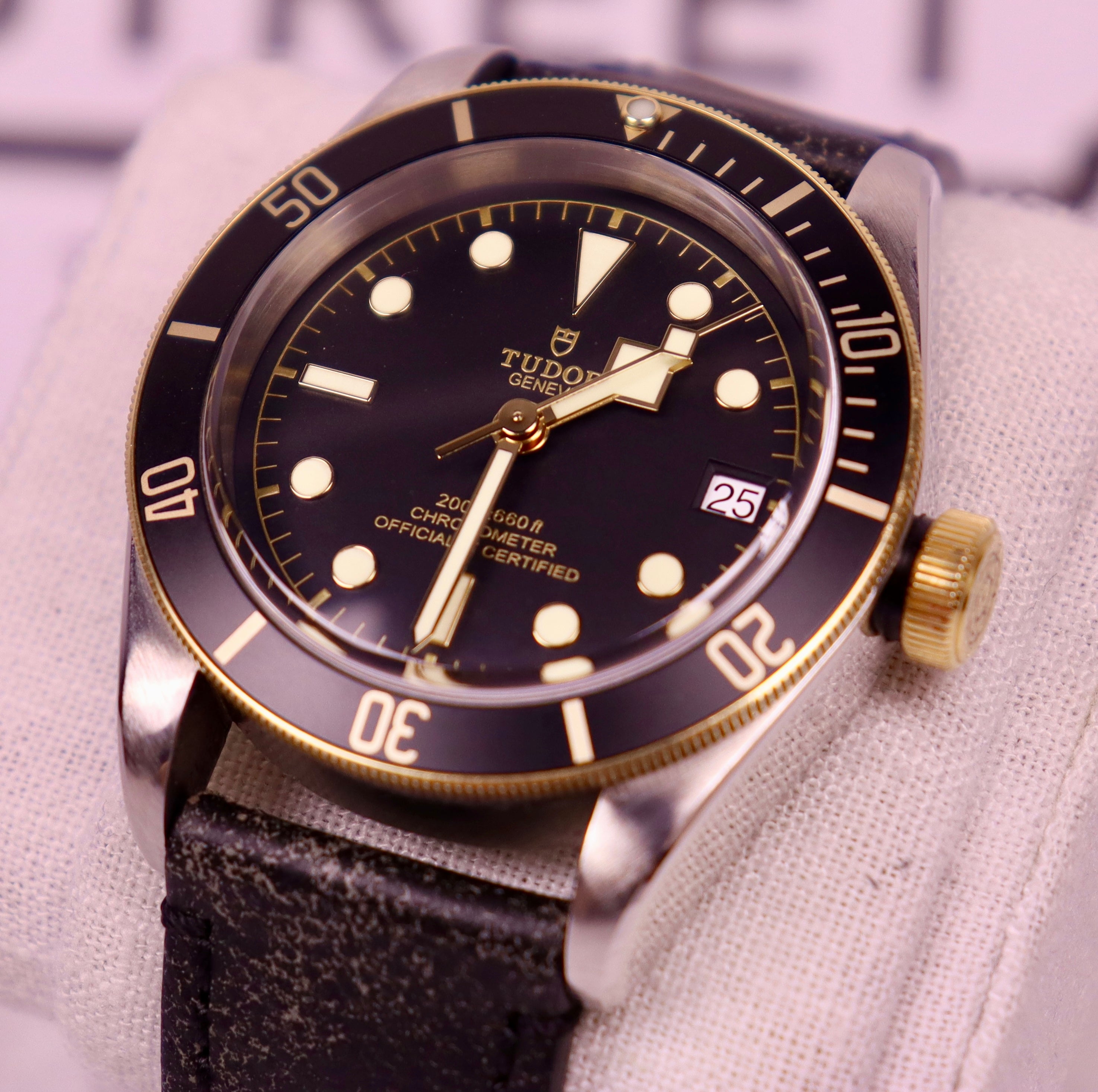 Case #376 — Tudor Black Bay S&G Ref. 79733N