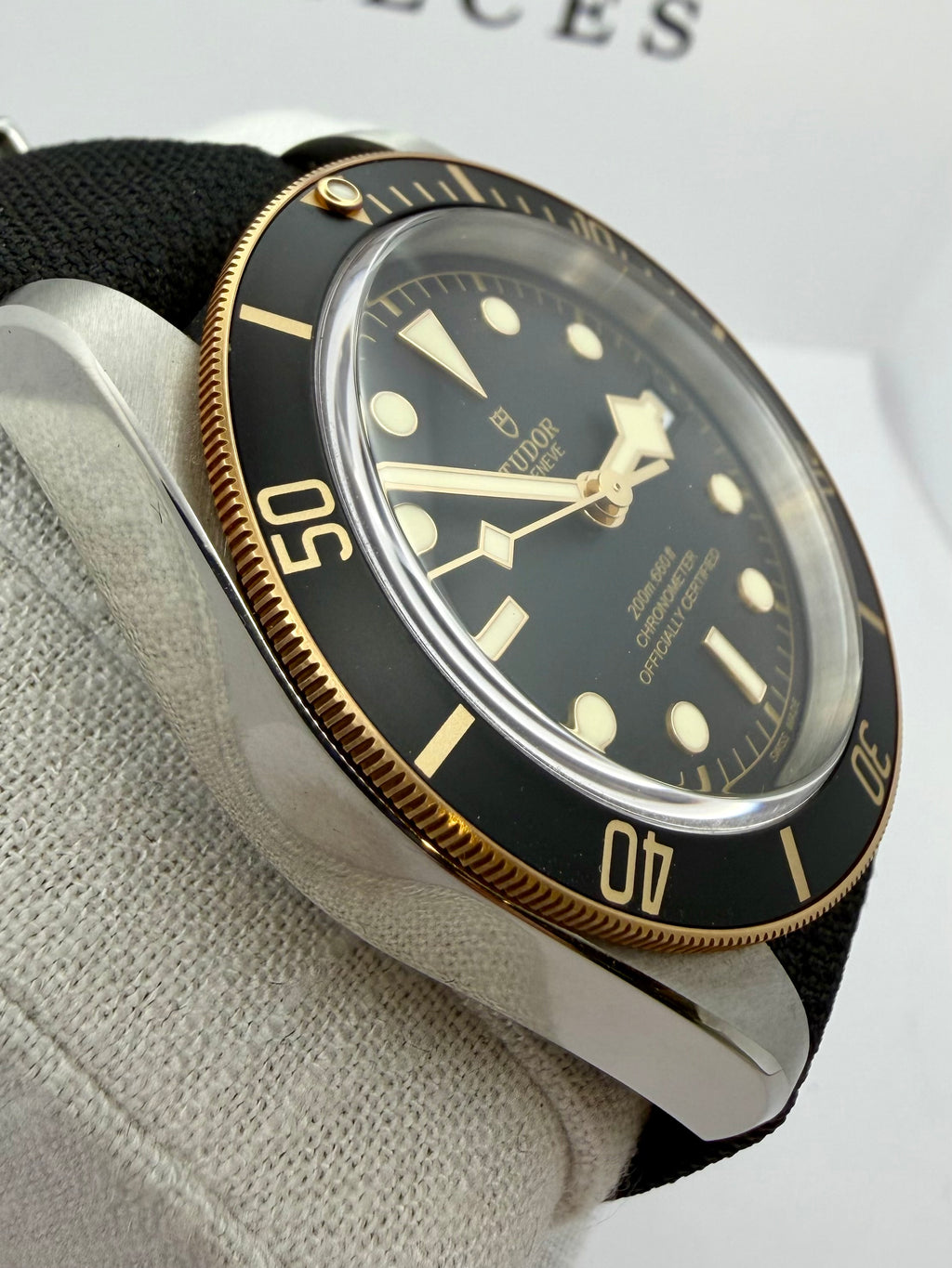 Case #149 — Tudor Black Bay S&G 41mm Ref. 79733N