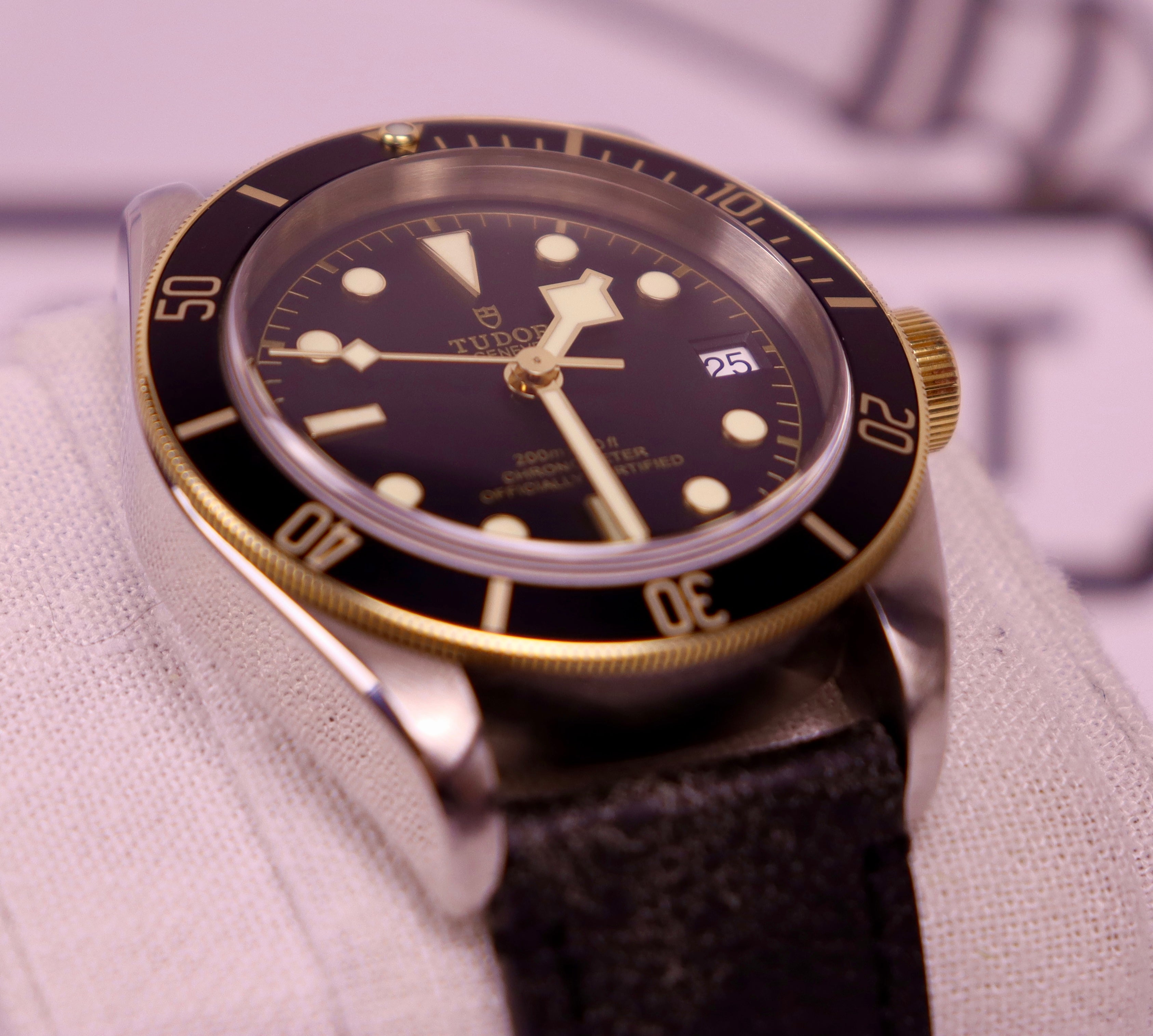 Case #376 — Tudor Black Bay S&G Ref. 79733N