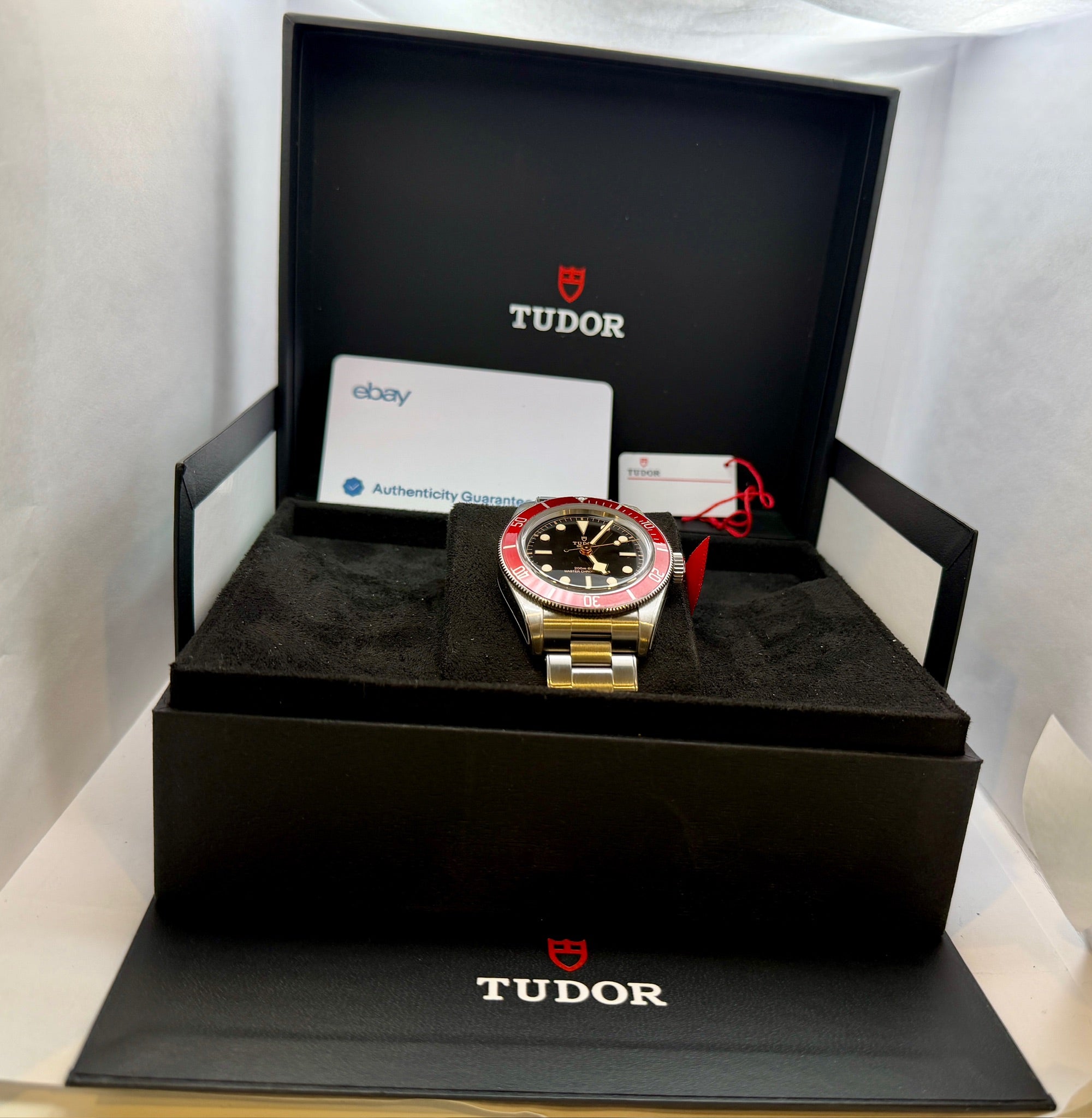 Case #175 — Tudor Black Bay  Ref. M7941A1A0RU-0001 METAS