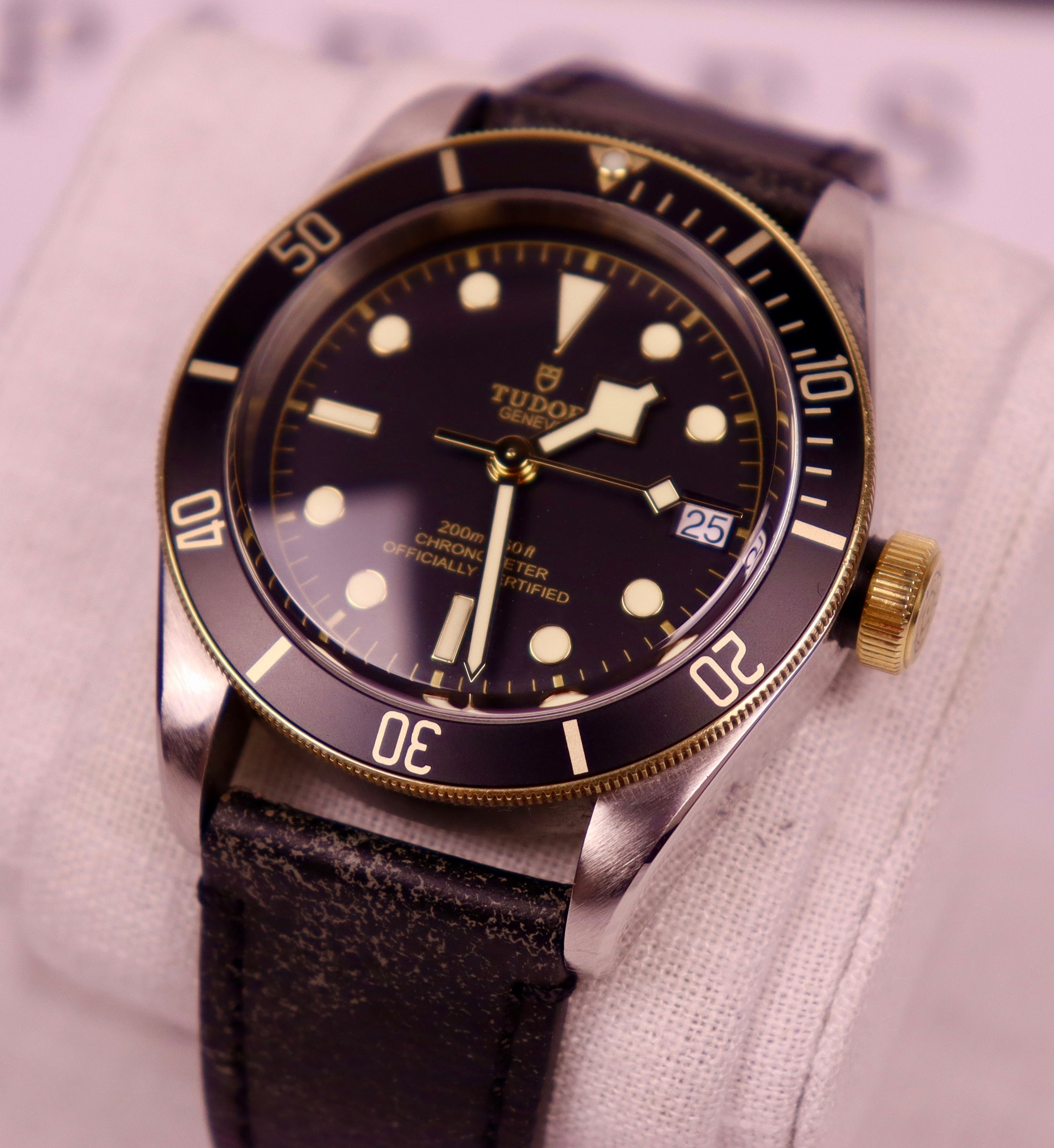Case #376 — Tudor Black Bay S&G Ref. 79733N