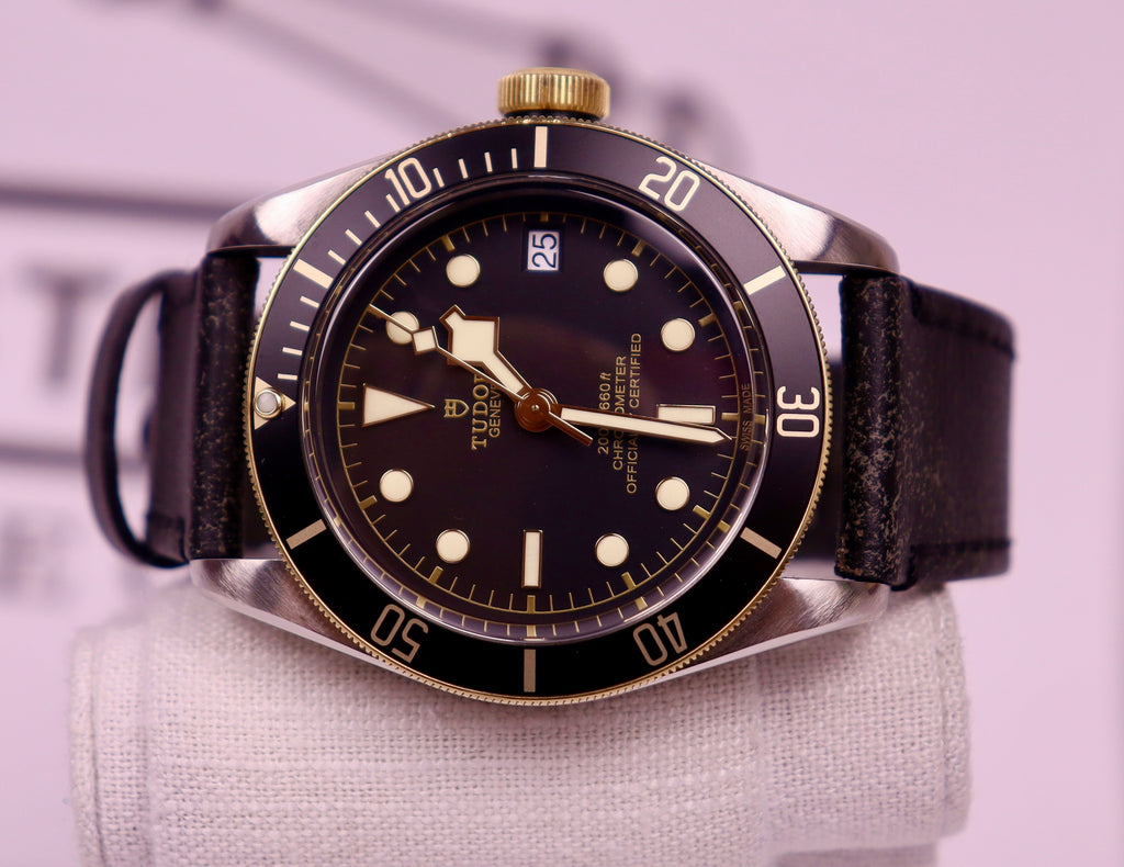 Case #376 — Tudor Black Bay S&G Ref. 79733N