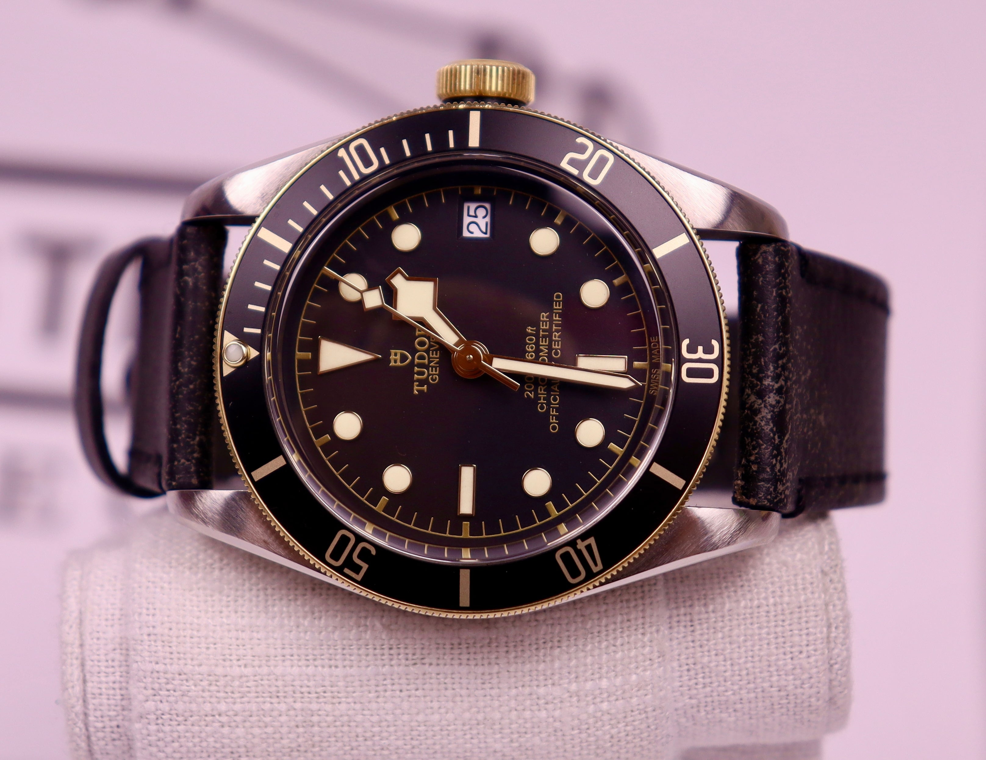 Case #376 — Tudor Black Bay S&G Ref. 79733N
