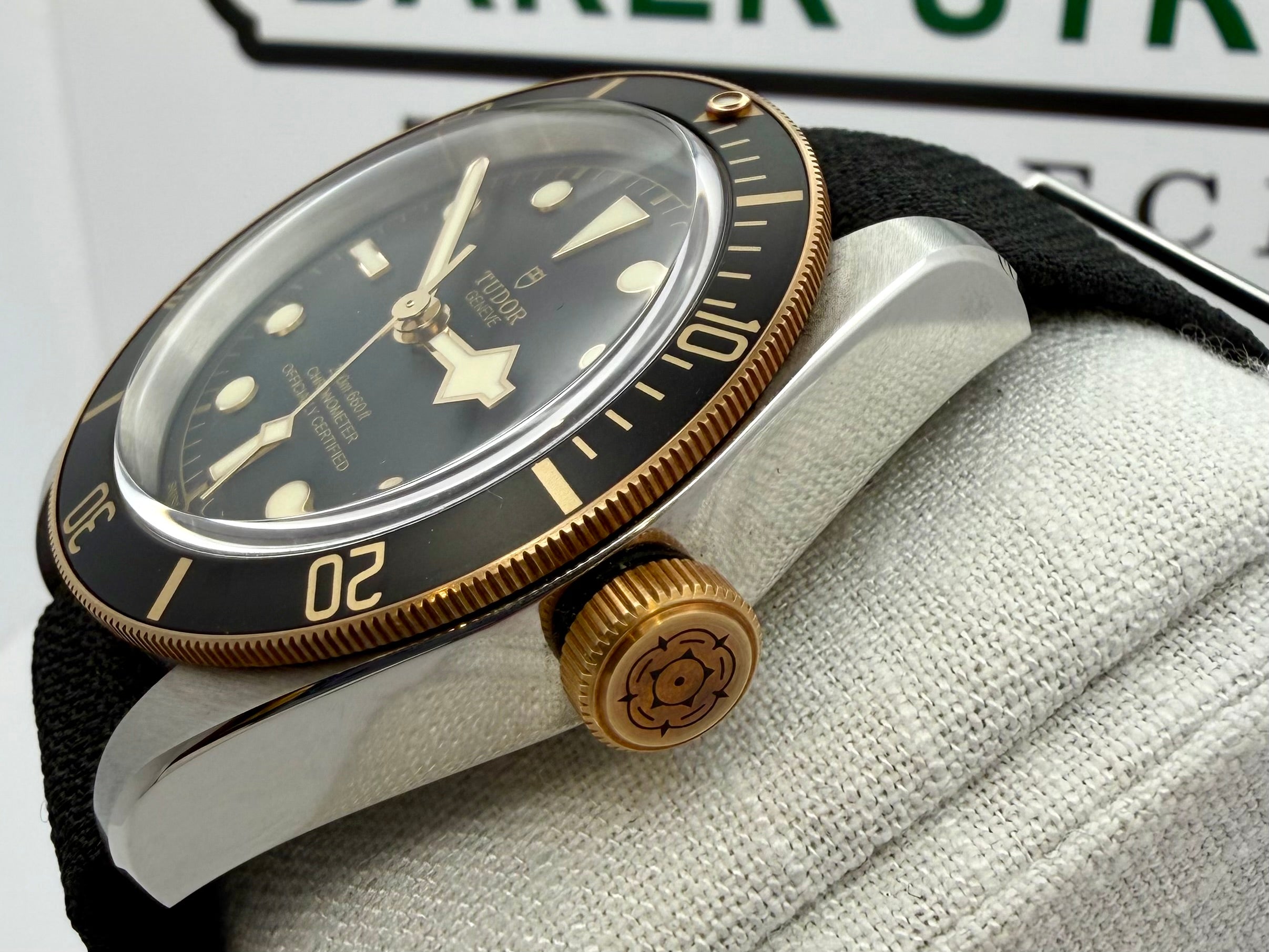 Case #149 — Tudor Black Bay S&G 41mm Ref. 79733N