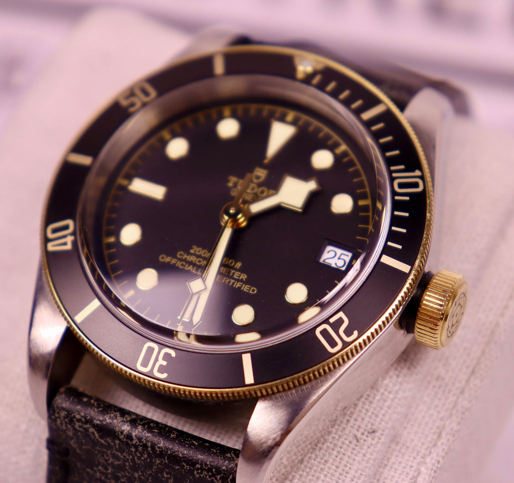 Case #376 — Tudor Black Bay S&G Ref. 79733N