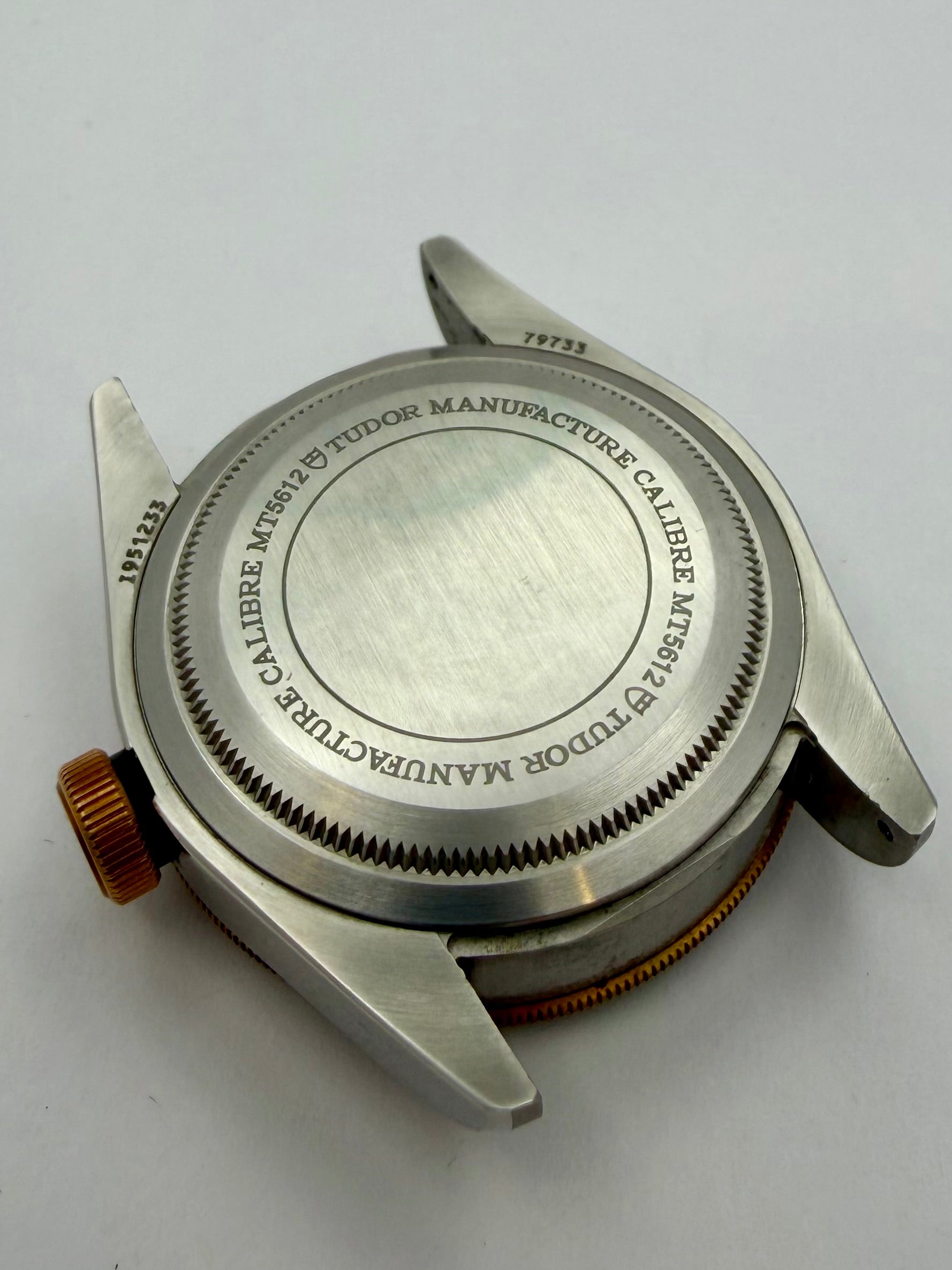 Case #149 — Tudor Black Bay S&G 41mm Ref. 79733N