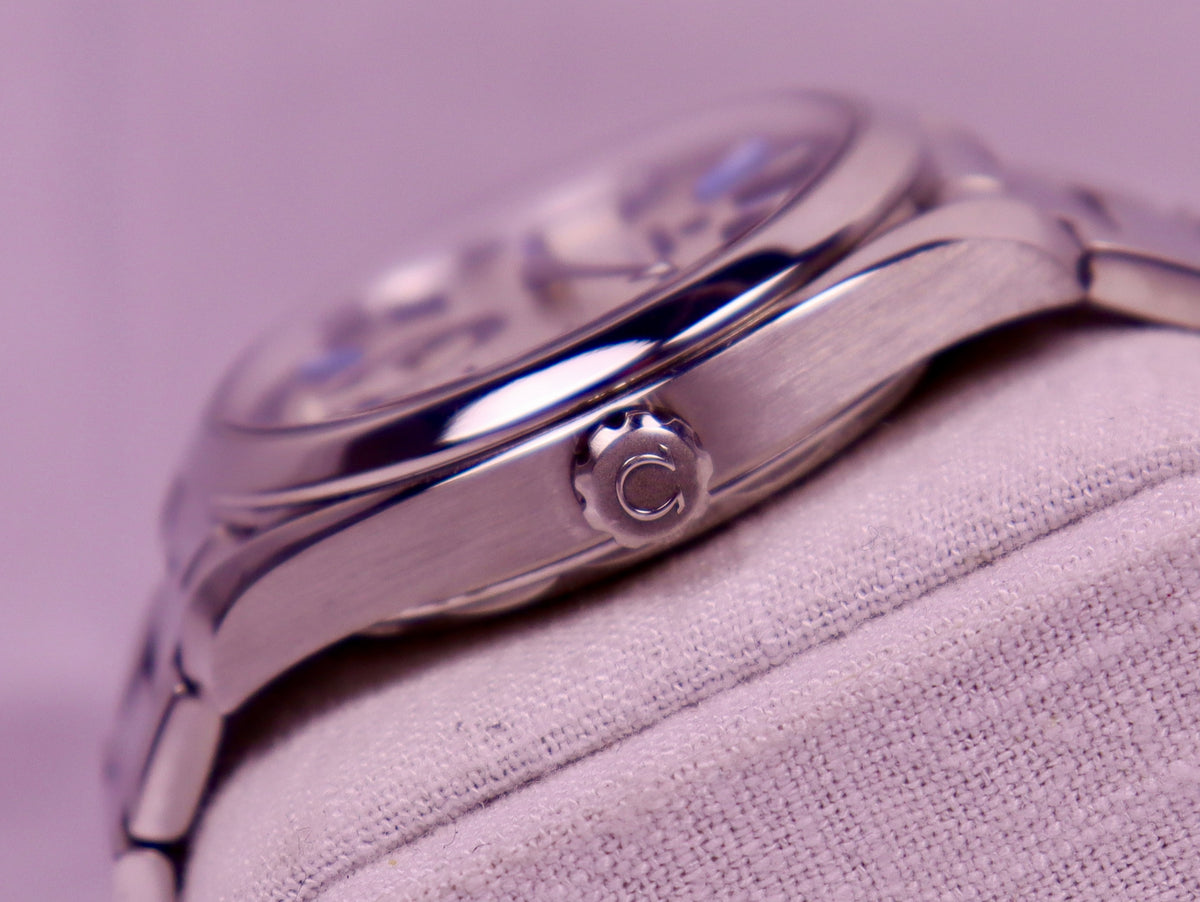 Case #713 — Omega Seamaster Aqua Terra - Small Seconds Ref. 220.10.41.21.02.004