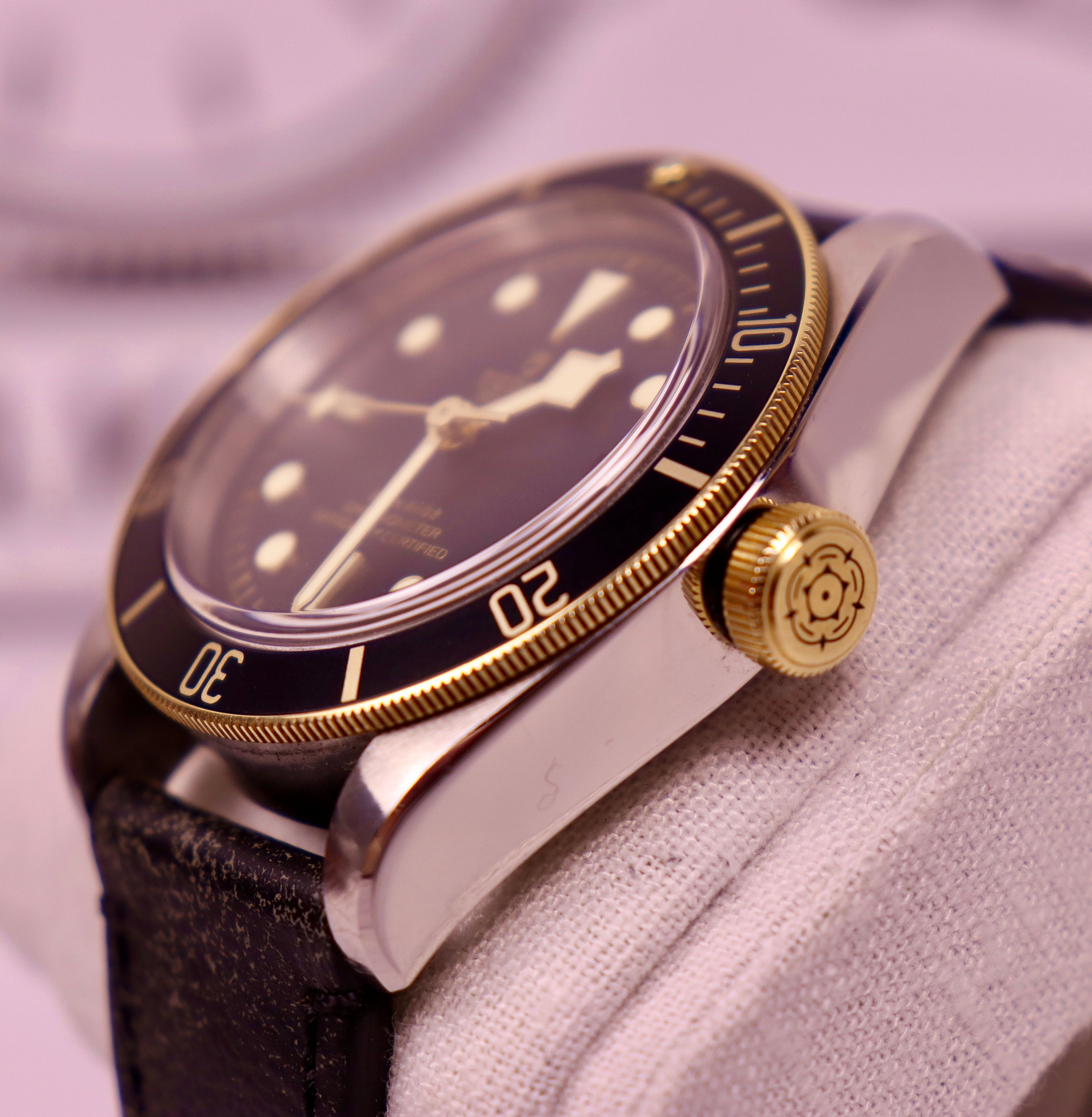 Case #376 — Tudor Black Bay S&G Ref. 79733N