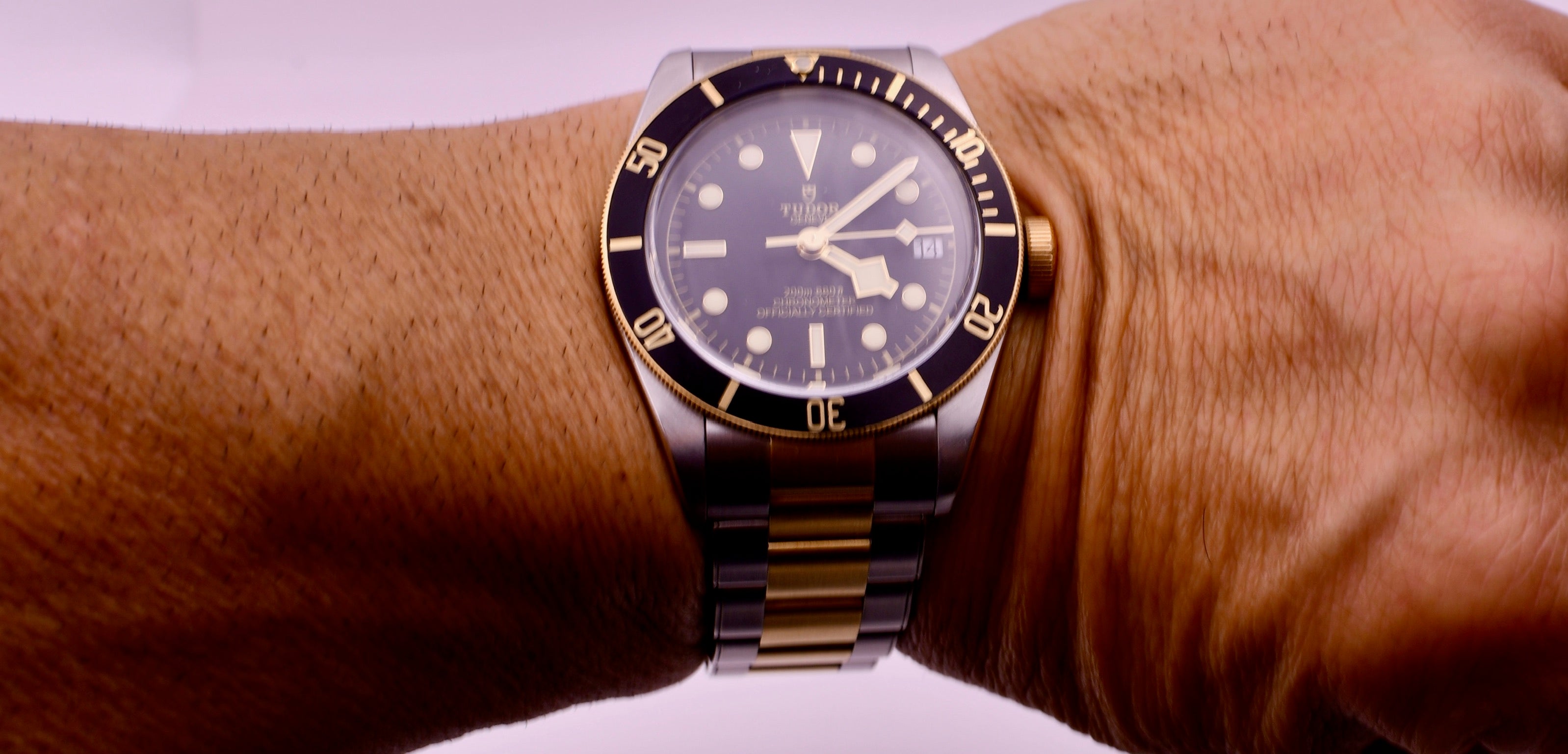 Case #636 — Tudor Black Bay 41 (S&G) Ref. m79733n-0008