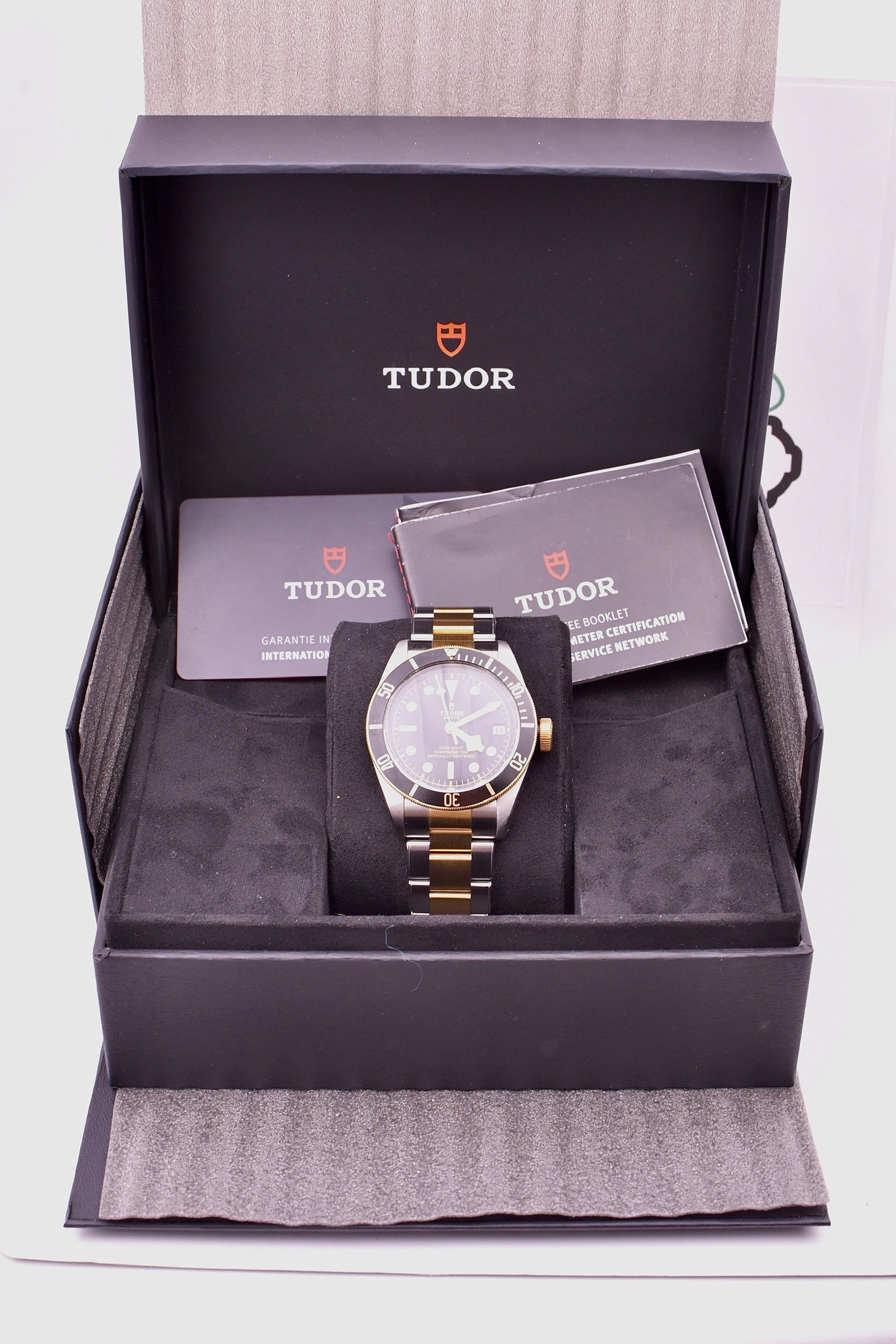 Case #636 — Tudor Black Bay 41 (S&G) Ref. m79733n-0008