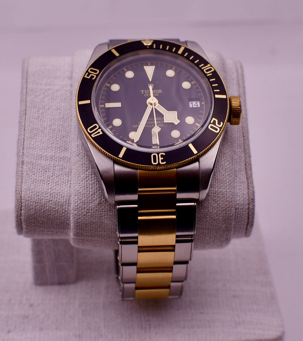 Case #636 — Tudor Black Bay 41 (S&G) Ref. m79733n-0008