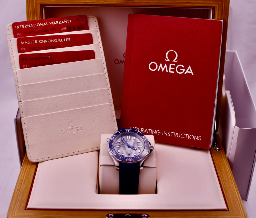 Case #627 — Omega Seamaster 300 Professional (Grey - Rubber) Ref. 210.32.42.20.06.001