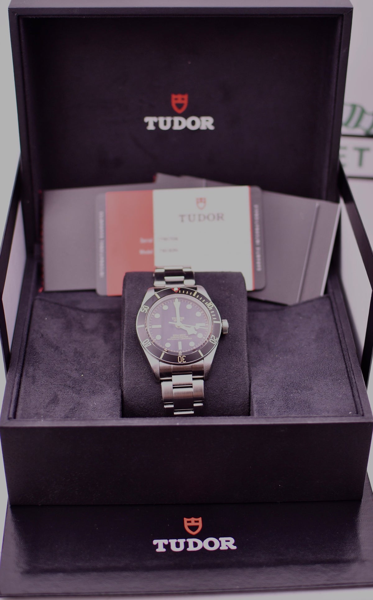 Case #620 — Tudor Black Bay 58 (Black) Ref. 79030N
