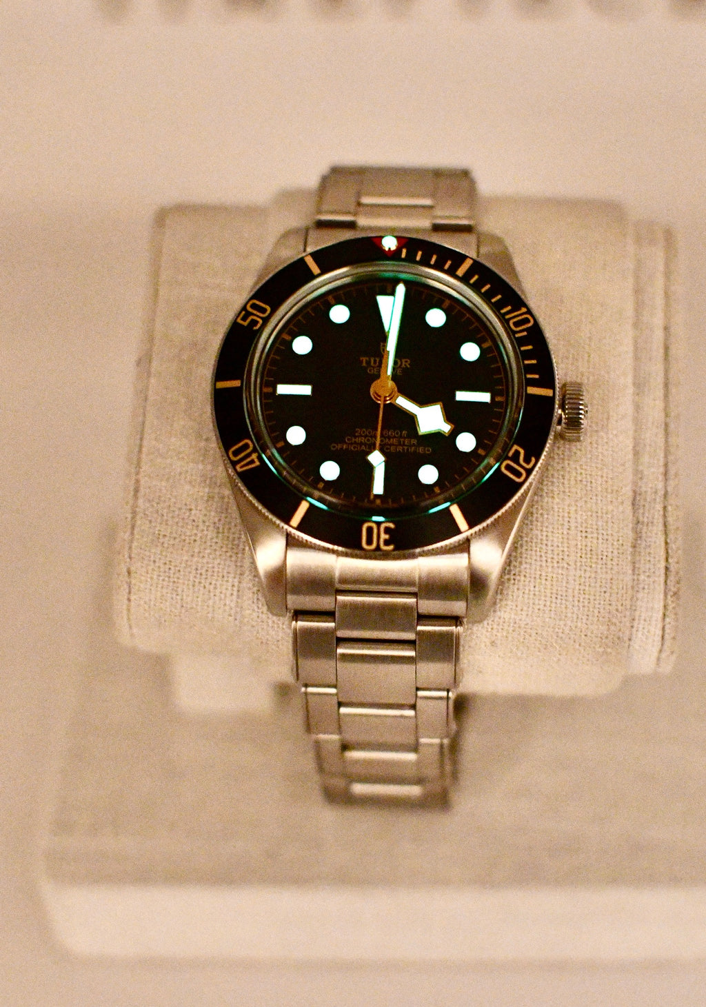 Case #620 — Tudor Black Bay 58 (Black) Ref. 79030N