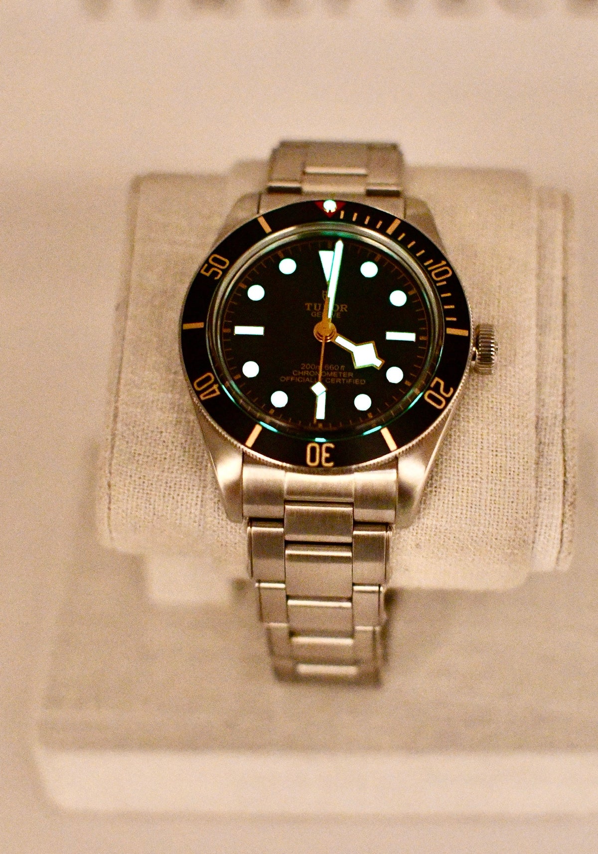 Case #620 — Tudor Black Bay 58 (Black) Ref. 79030N