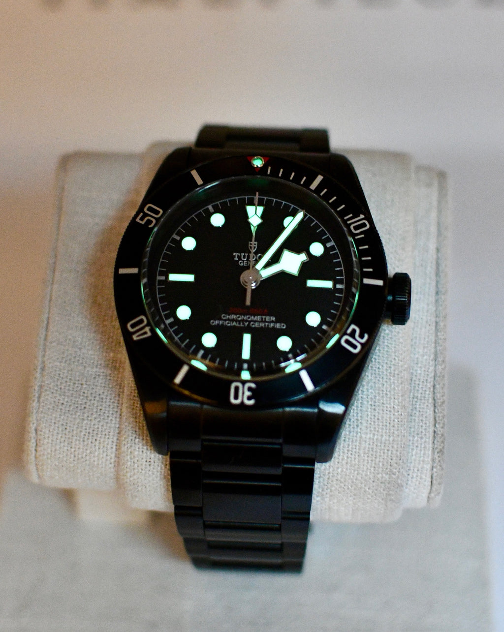 Case #663 — Tudor Black Bay Dark Ref. 79230DK
