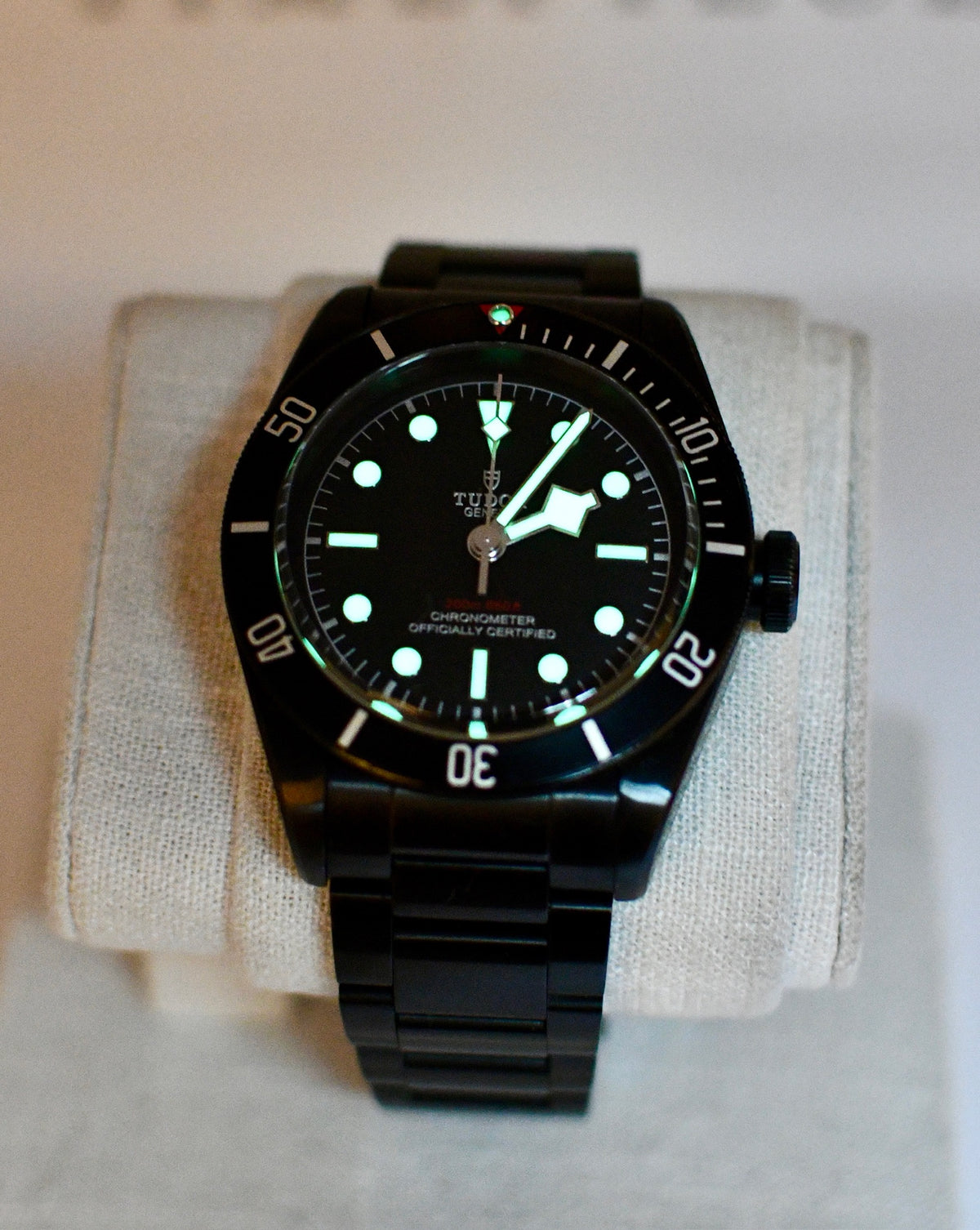 Case #663 — Tudor Black Bay Dark Ref. 79230DK