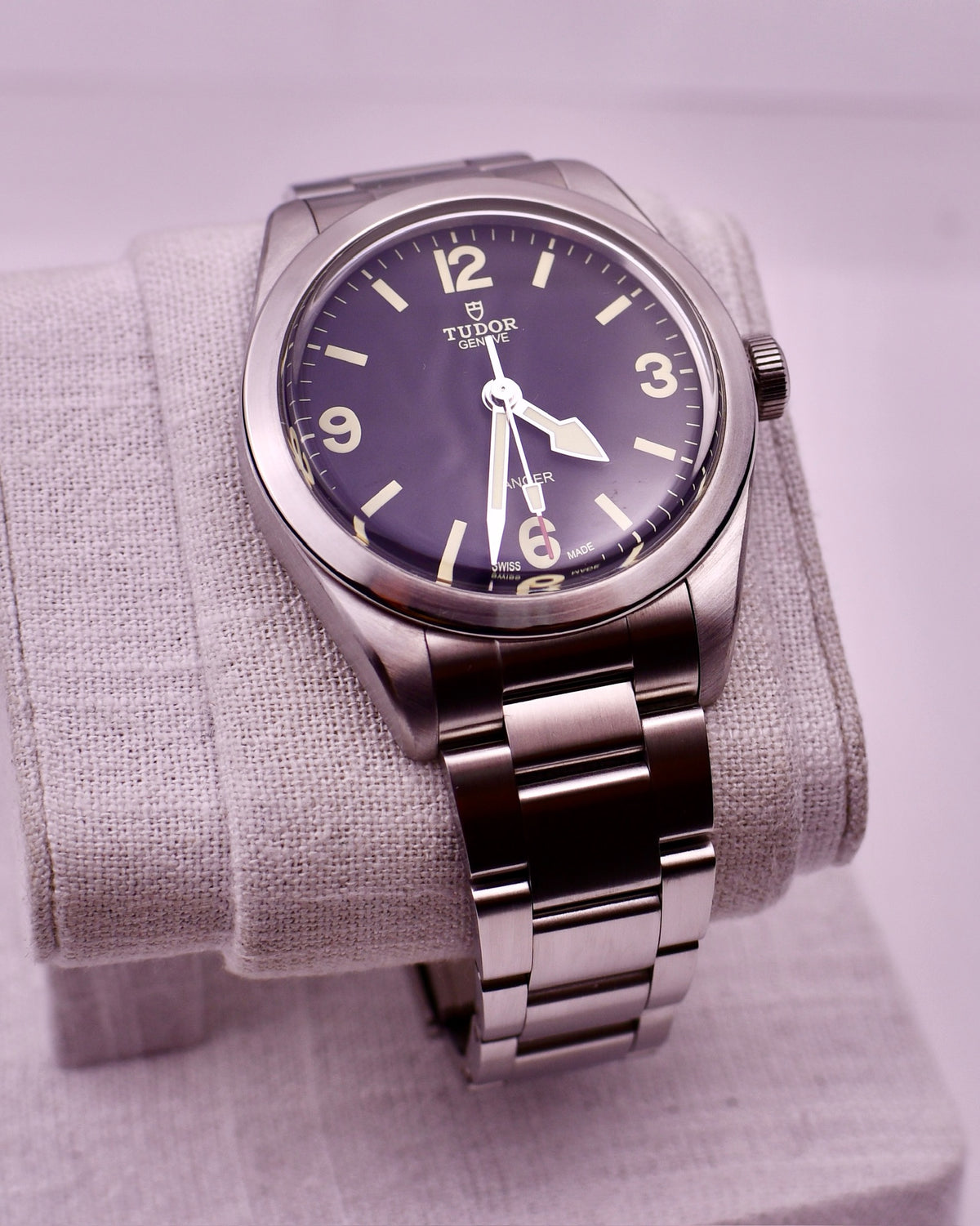Case #666 — Tudor Ranger 39mm Black on Steel Ref. m79950-0001
