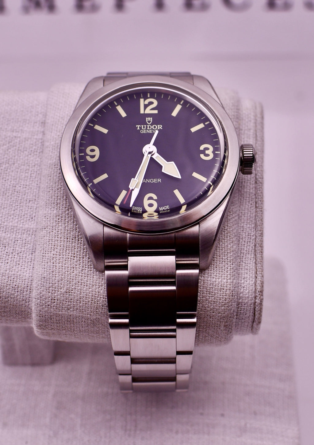 Case #666 — Tudor Ranger 39mm Black on Steel Ref. m79950-0001