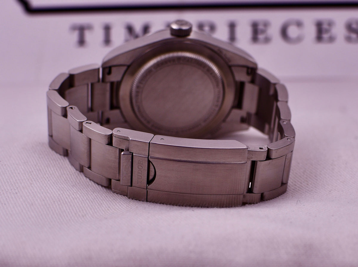 Case #666 — Tudor Ranger 39mm Black on Steel Ref. m79950-0001