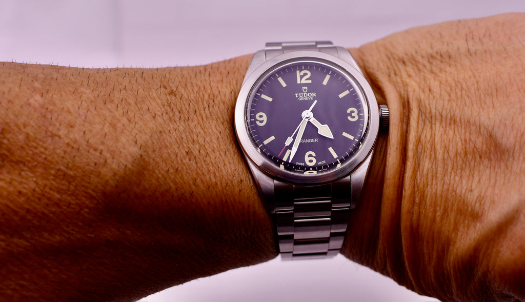 Case #666 — Tudor Ranger 39mm Black on Steel Ref. m79950-0001