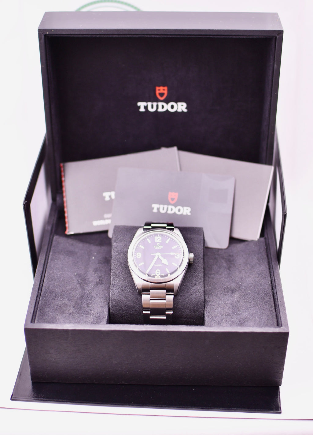Case #666 — Tudor Ranger 39mm Black on Steel Ref. m79950-0001