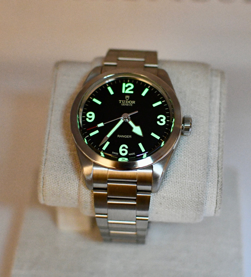 Case #666 — Tudor Ranger 39mm Black on Steel Ref. m79950-0001