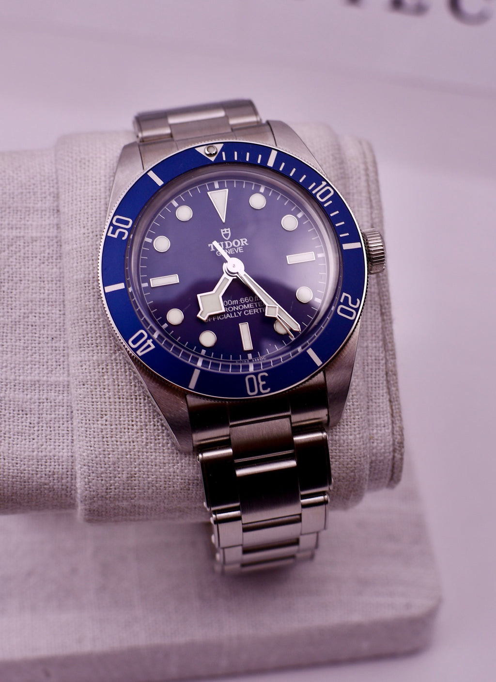Case #684 — Tudor Black Bay 58 (Blue) Ref. m79030b-0001