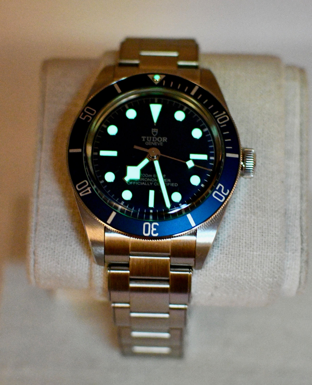 Case #684 — Tudor Black Bay 58 (Blue) Ref. m79030b-0001