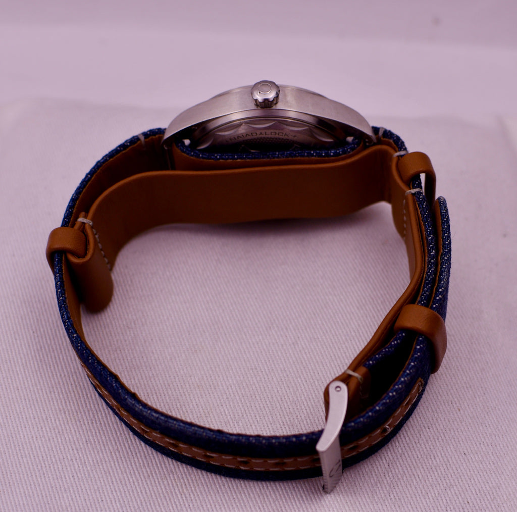 Case #729 — Omega Railmaster - NATO Strap Ref. 220.12.40.20.03.001