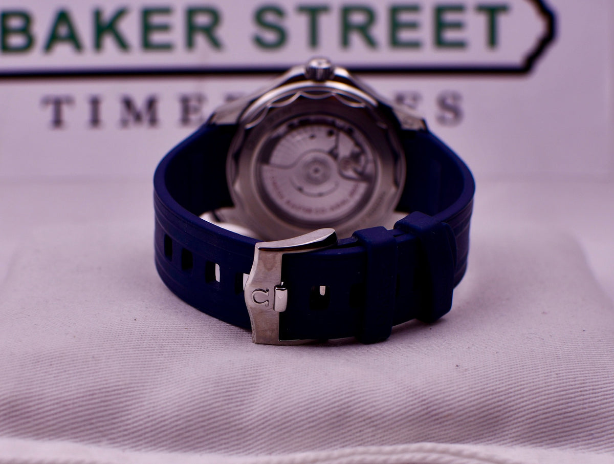 Case #730 — Omega Seamaster Diver 300M Ref. 210.32.42.20.06.001