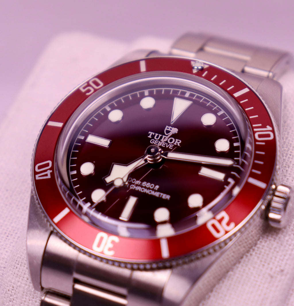 Case #721 — Tudor Black Bay 58 Red Ref. m7939a1a0ru-0002