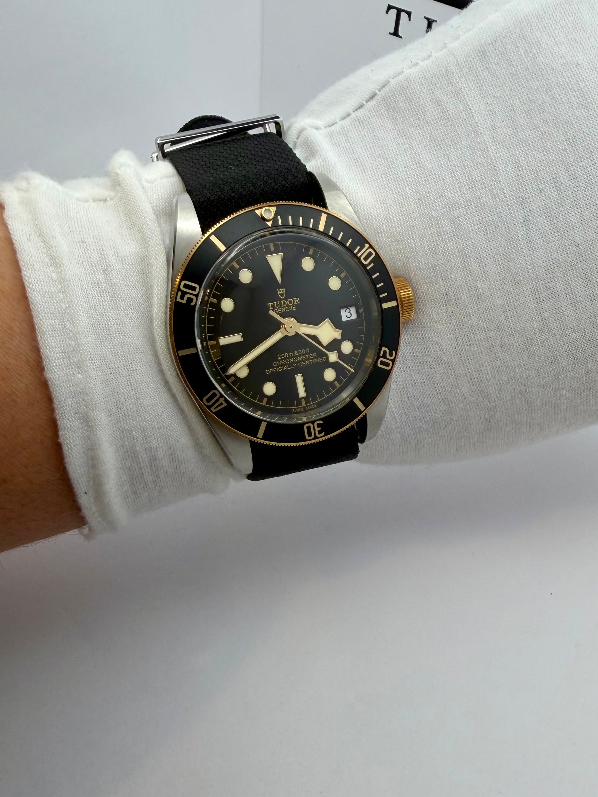 Case #149 — Tudor Black Bay S&G 41mm Ref. 79733N