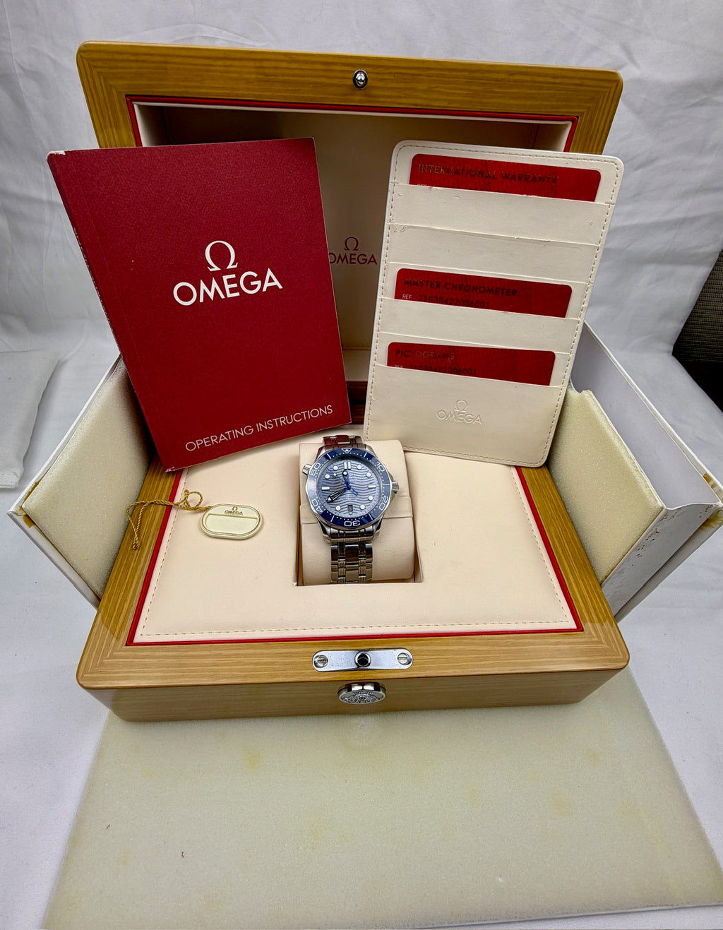Case #271 — Omega Seamaster Diver 300M “Grey Wave Dial”  Ref. 210.30.42.20.06.001