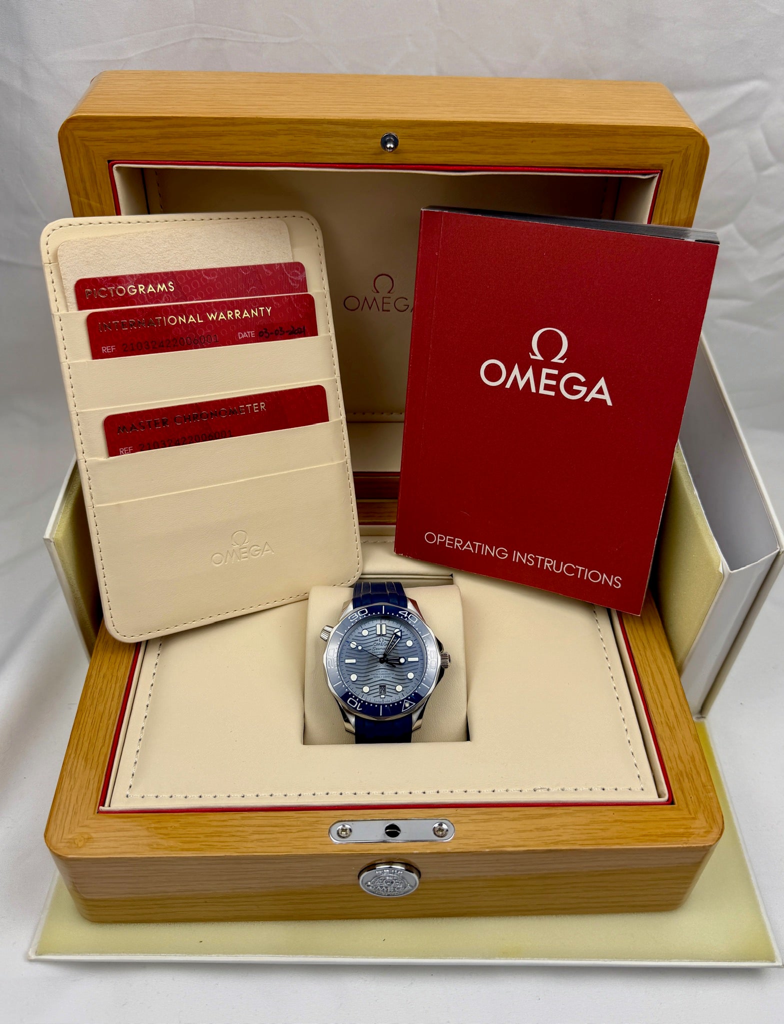 Case #303 — Omega Seamaster Diver 300M Grey Dial on Rubber  Ref. 210.32.42.20.06.001