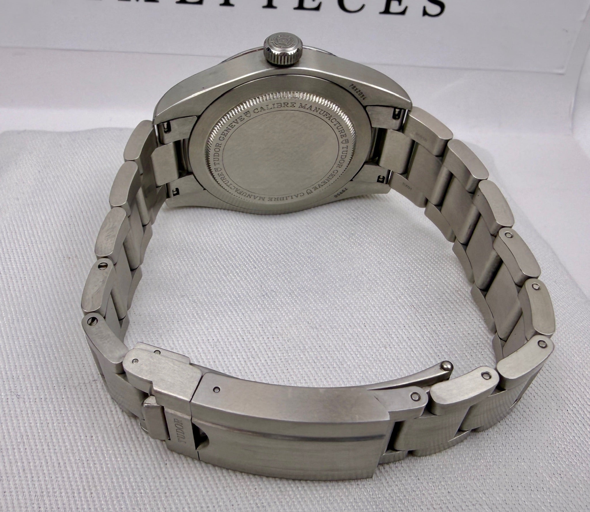 Case #309 — Tudor Ranger Black  Ref. 79950