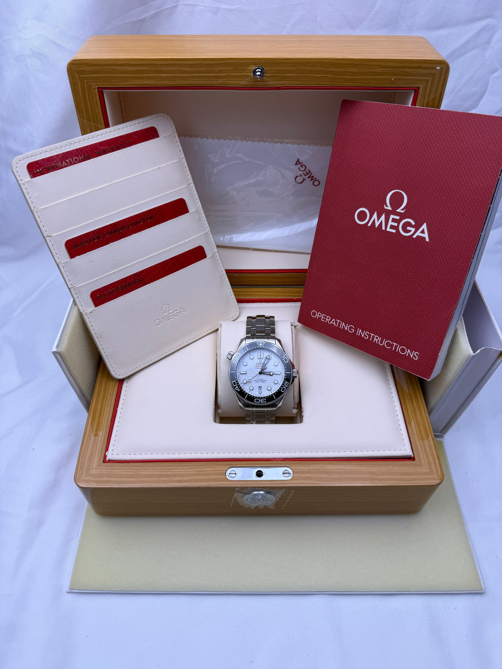 Case #360 — Omega Seamaster Professional White Dial / Black Bezel Ref. 210.30.42.20.04.001