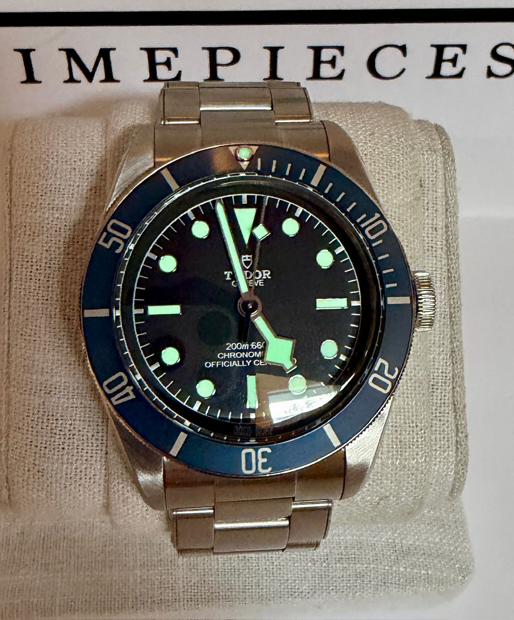 Case #369 — Tudor Black Bay 41 Heritage Blue Ref. 79230B
