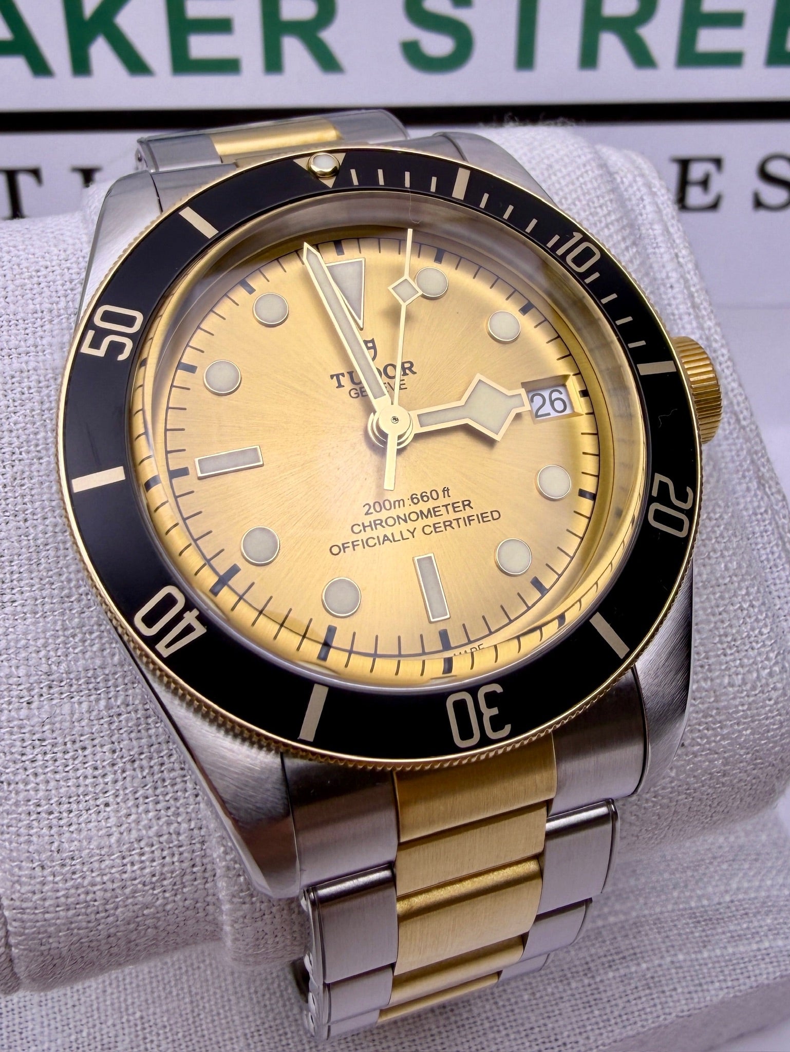 Case #383 — Tudor Black Bay S&G Champagne Dial 41MM Ref. 79733N