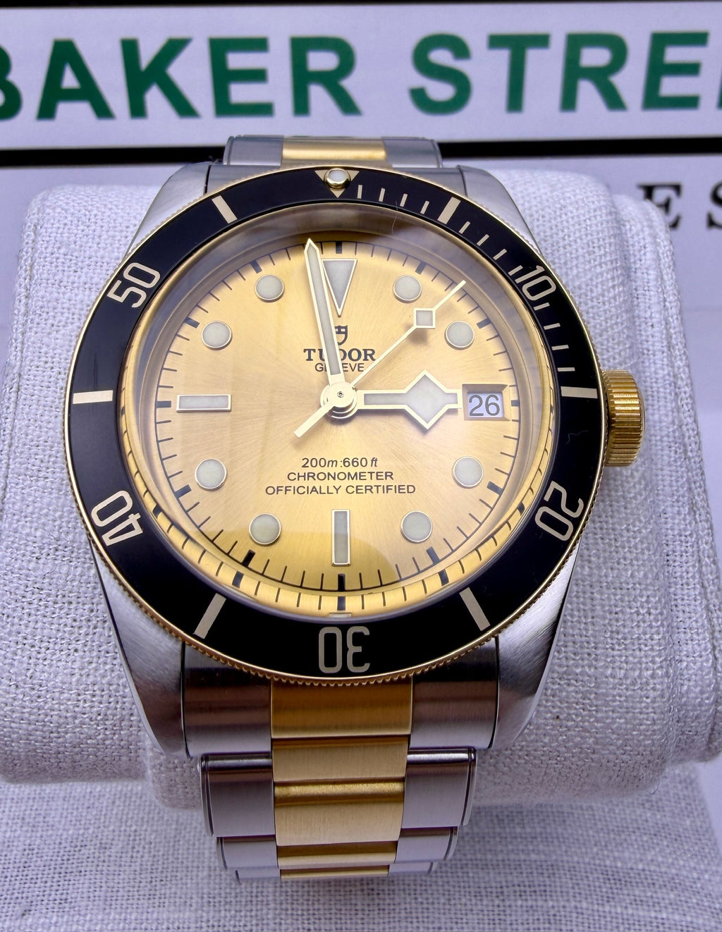 Case #383 — Tudor Black Bay S&G Champagne Dial 41MM Ref. 79733N