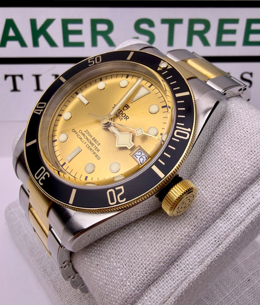 Case #383 — Tudor Black Bay S&G Champagne Dial 41MM Ref. 79733N