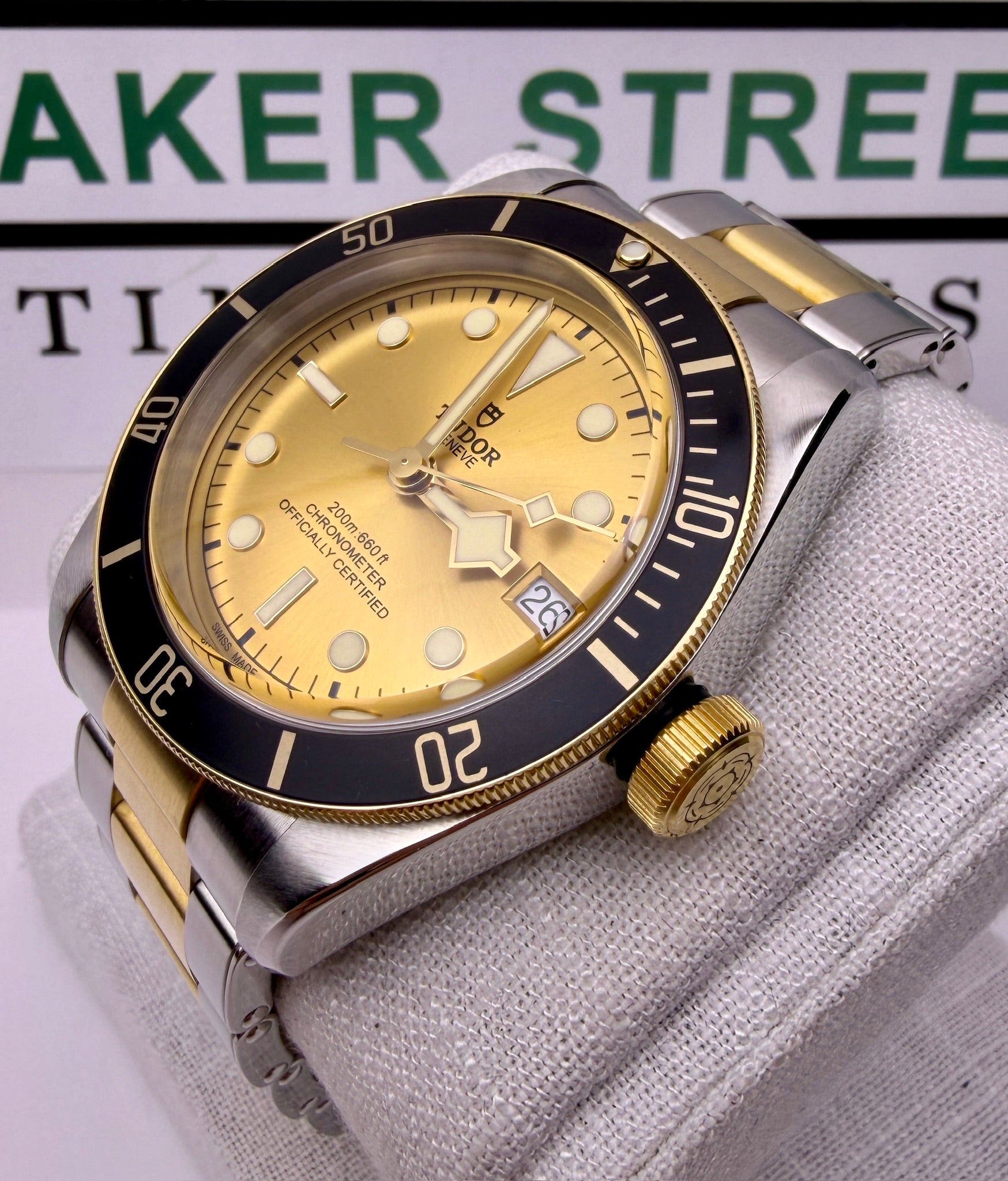 Case #383 — Tudor Black Bay S&G Champagne Dial 41MM Ref. 79733N