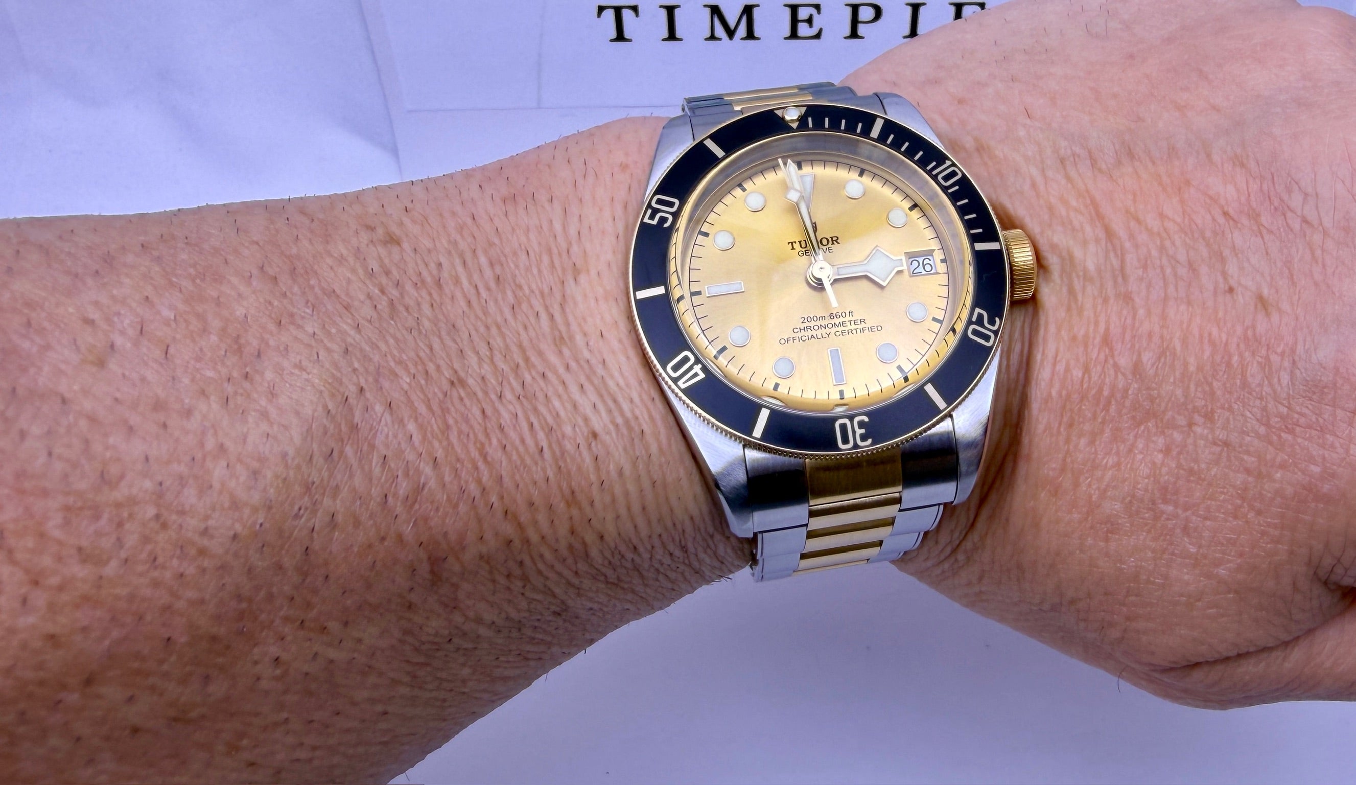 Case #383 — Tudor Black Bay S&G Champagne Dial 41MM Ref. 79733N