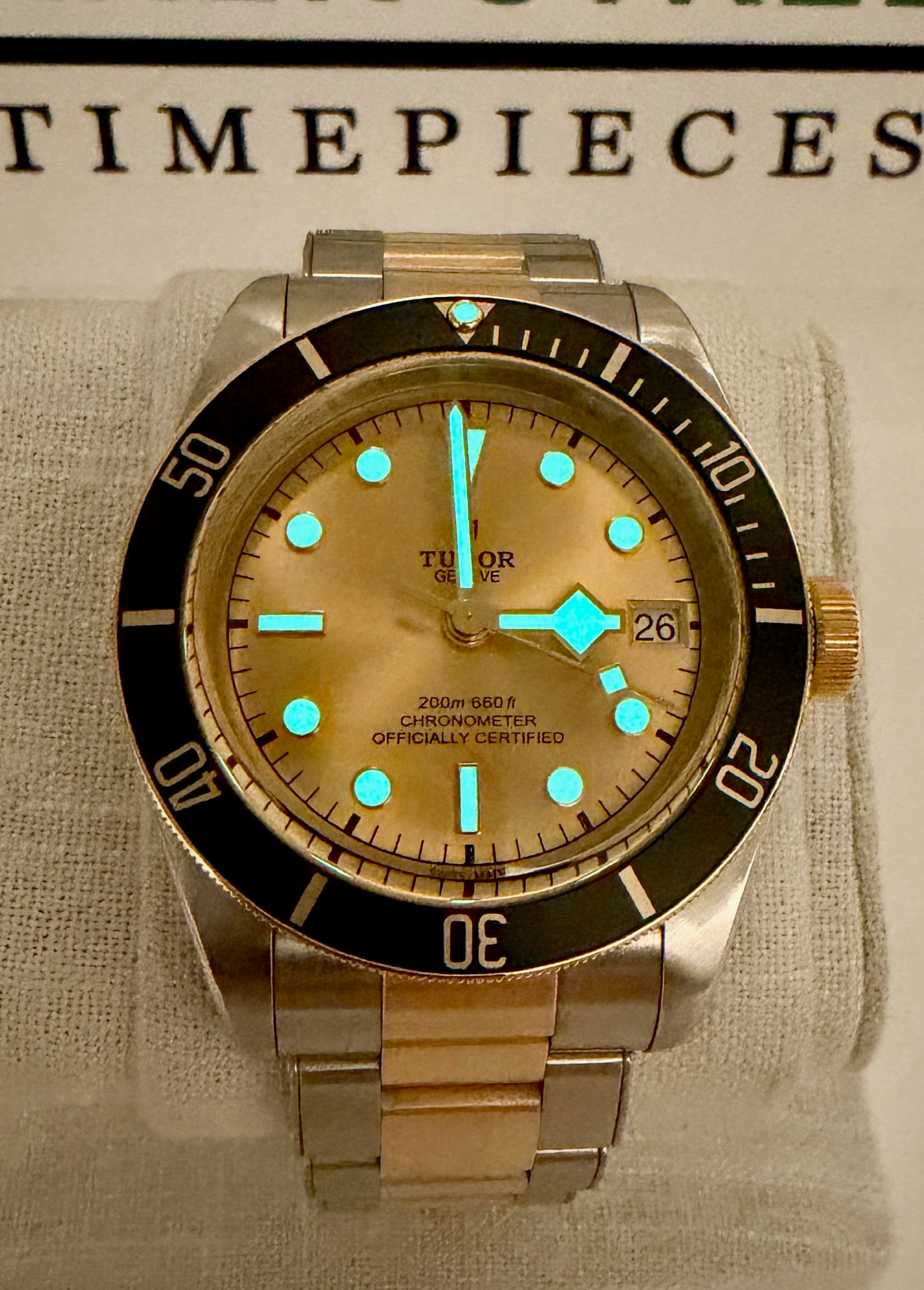 Case #383 — Tudor Black Bay S&G Champagne Dial 41MM Ref. 79733N