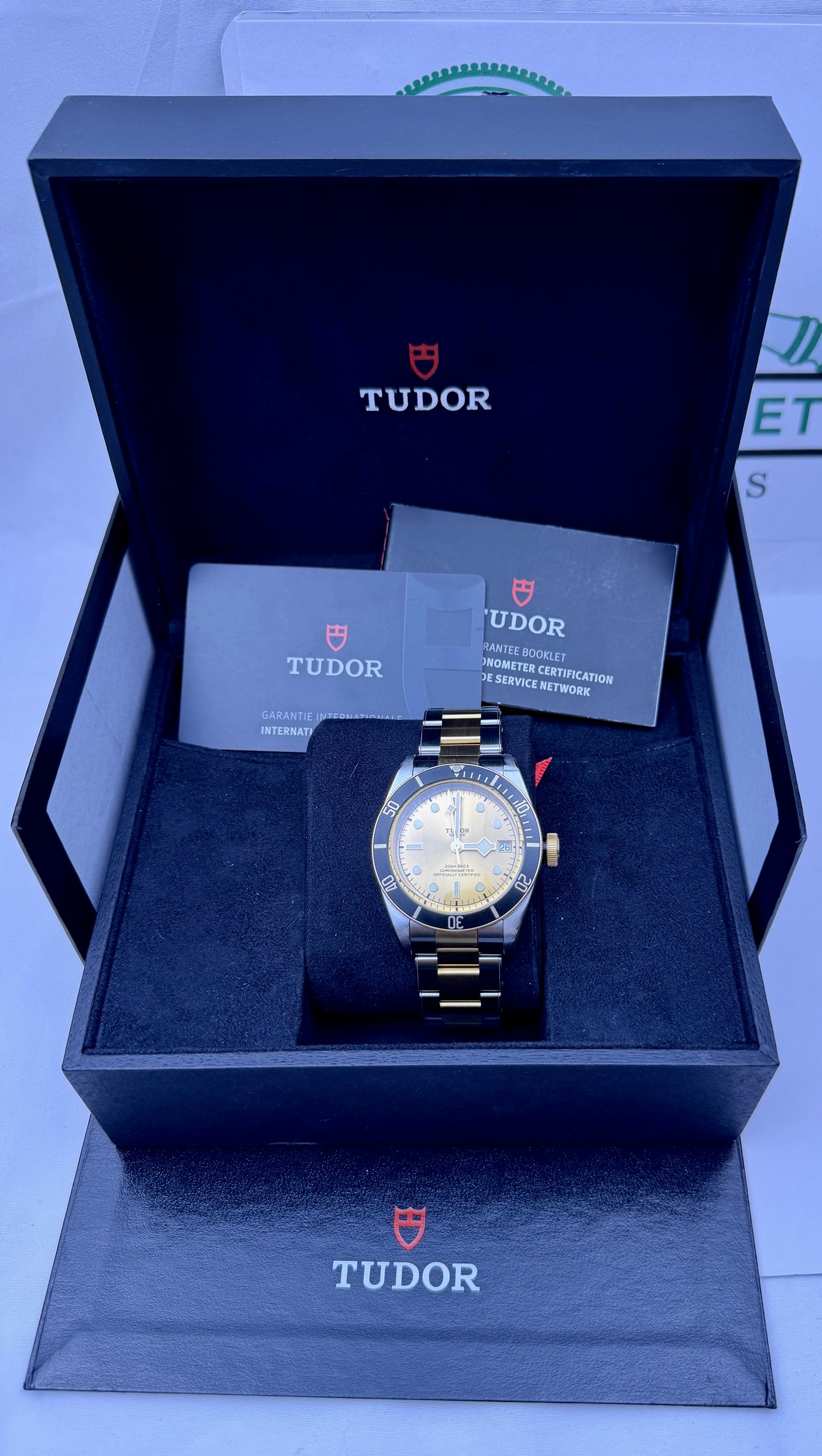 Case #383 — Tudor Black Bay S&G Champagne Dial 41MM Ref. 79733N