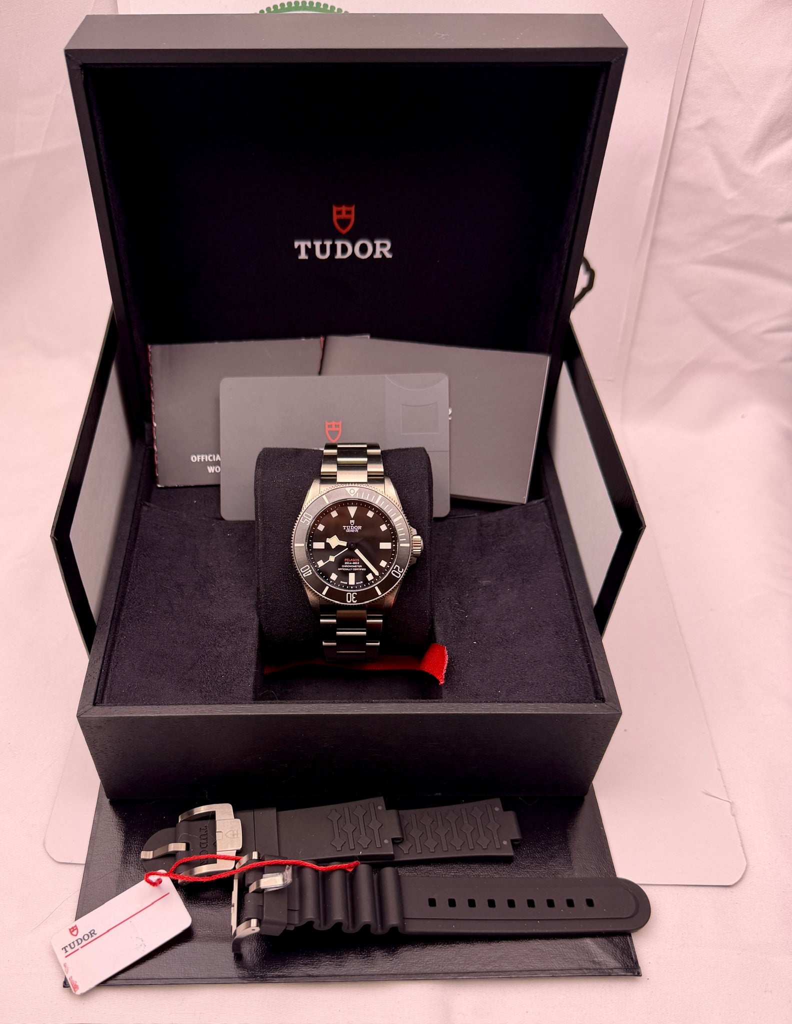 Case #379 — Tudor Pelagos 39MM Black Ref. 25407N